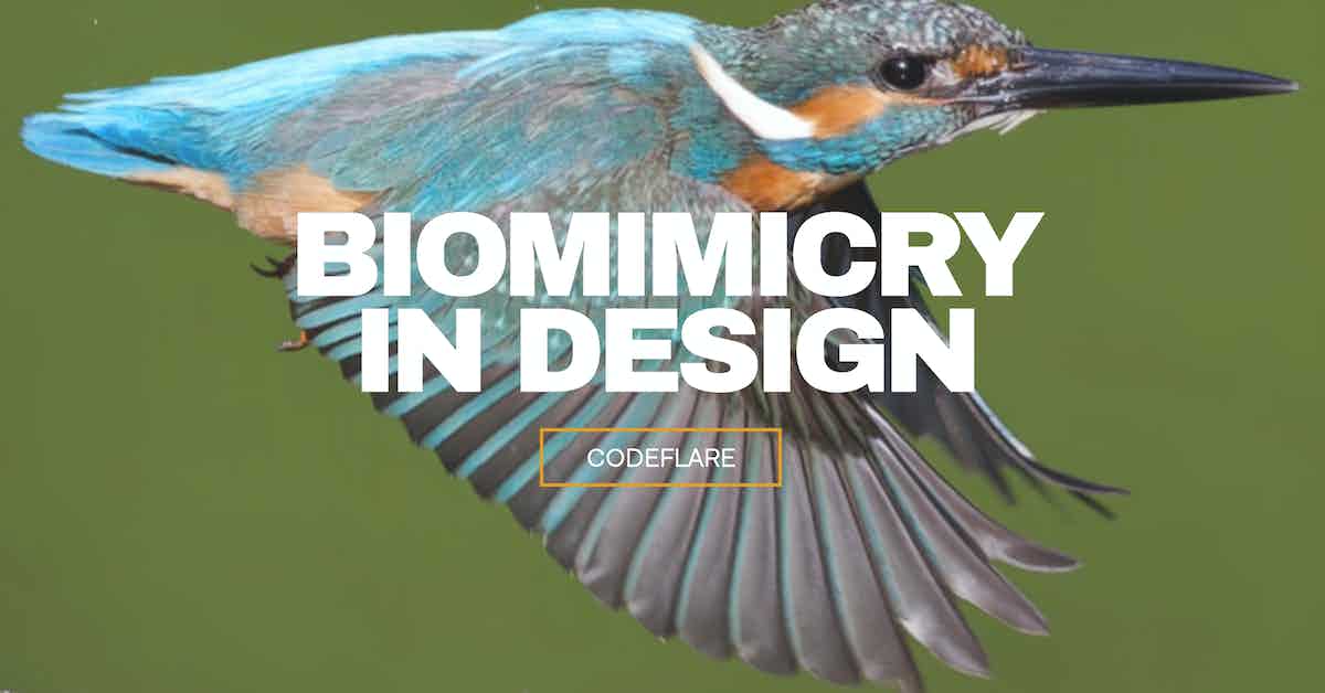 biomimicry in design
