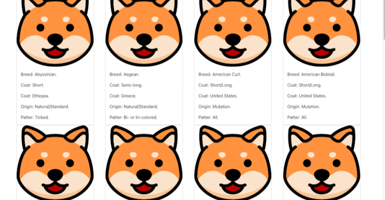 fetch data from an endpoint in react functional component